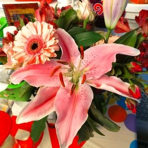 Meet your Posher, Mary